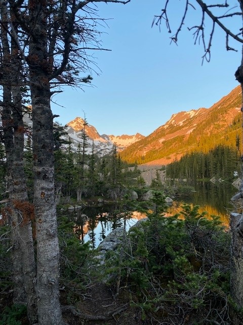 Alpine lake surrounded by trees and mountains