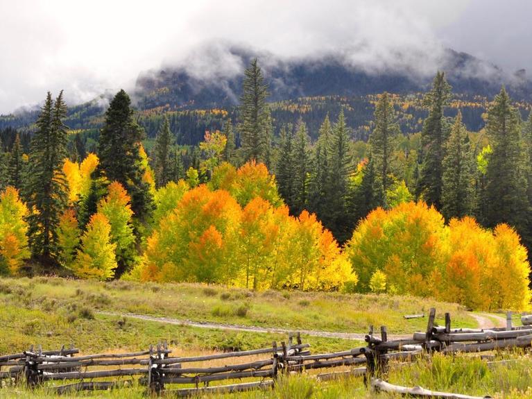 fall farm